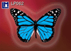 Lenticular Lenticular Animation Postcard, Butterflies