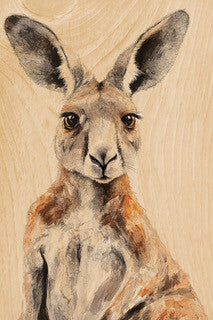 Kangaroo 2 Postcard