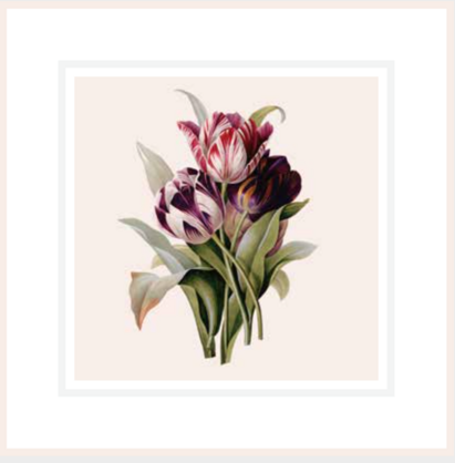 Tulips Card