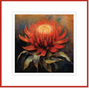 Waratah Card