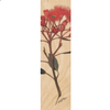 Corymbia Ficifolia Bookmark