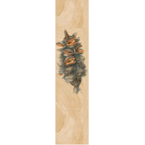 Banksia Serrata Bookmark