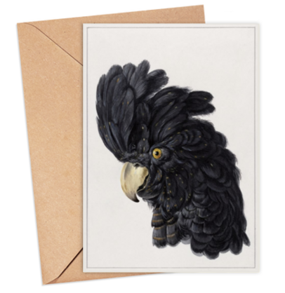 Black Cockatoo Head Card