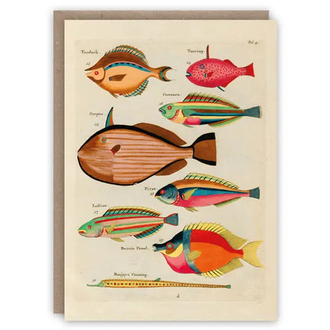 Renard Fish Card