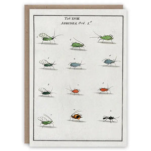 Aphids Card