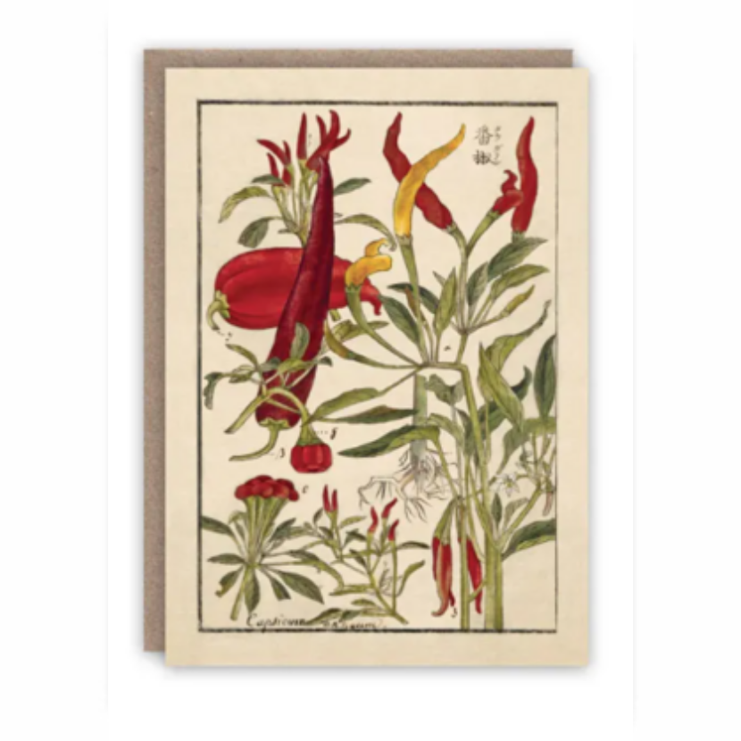 Chilli Peppers Card