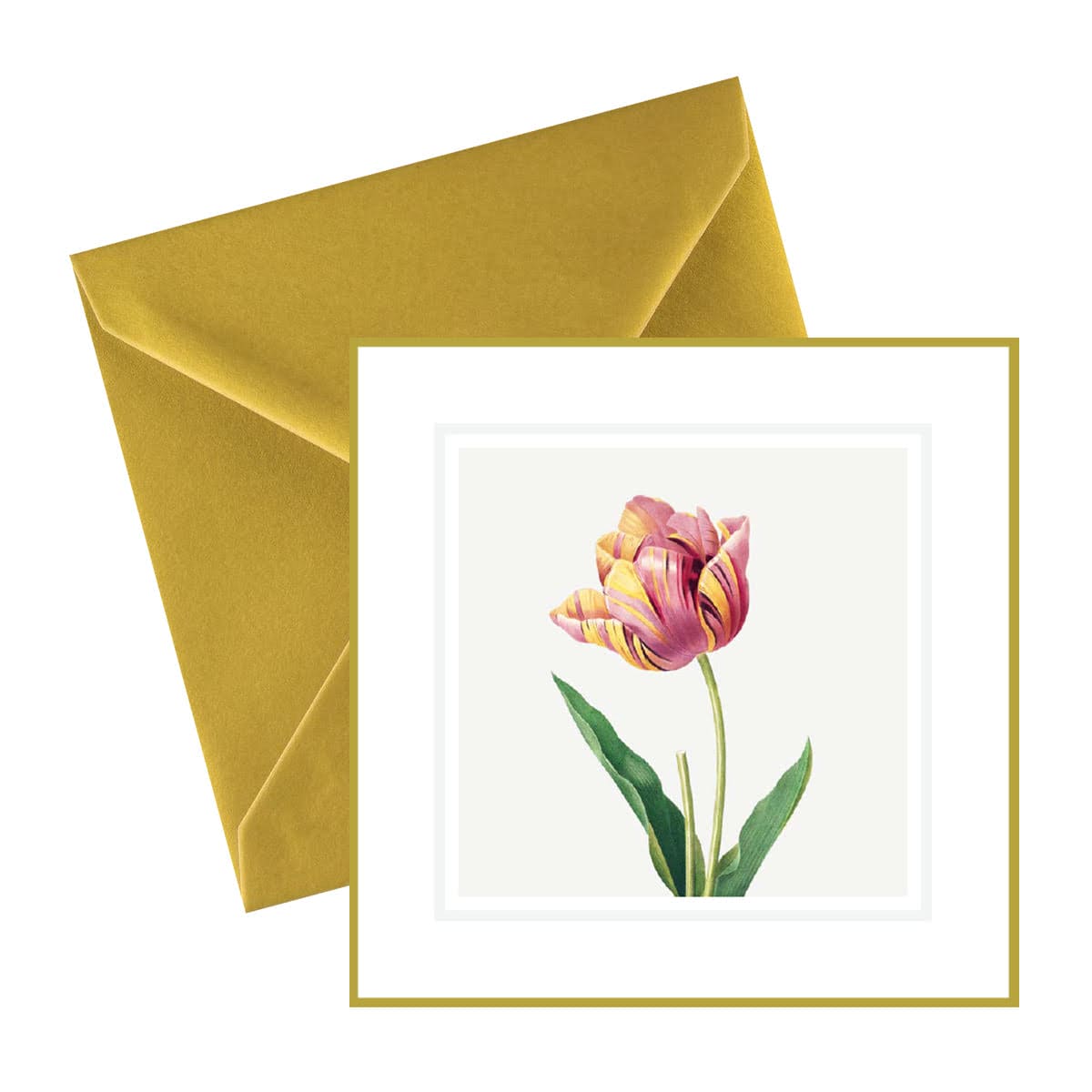 Redoute Tulips Card