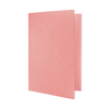 Daycraft Signature Envelope Holder - A4, Pink