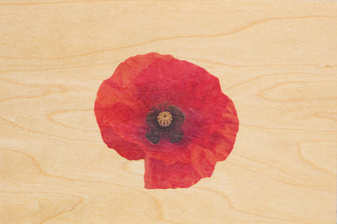 Red Poppy - Anzac Day Postcard