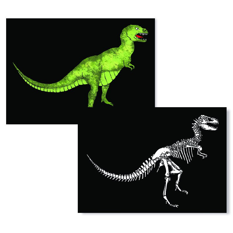 Cartes D'Art T-Rex X-Ray 3D Postcard