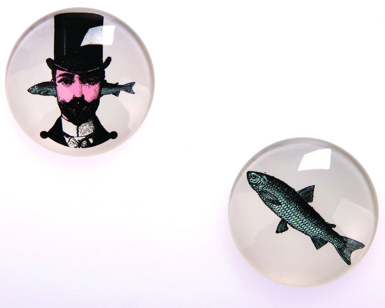 Gangzai Design Set of 2 Magnets - Aristo fish