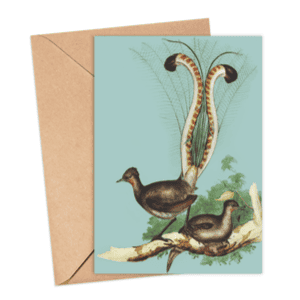 Lyrebird Card