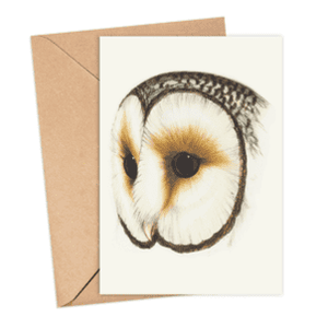 Ring Eyed Owl Card