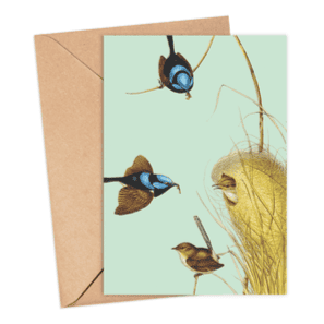Fairy Wren Card