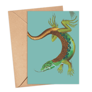Ameiva Lizard Card