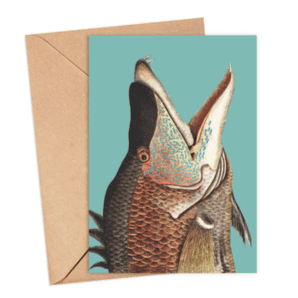 Hogfish Card