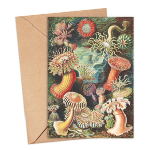 Sea Anemone Card