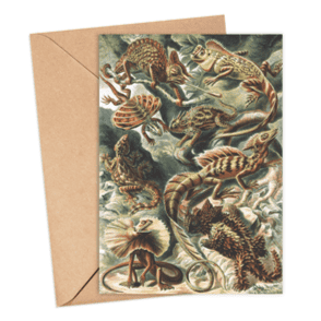 Lizards Card