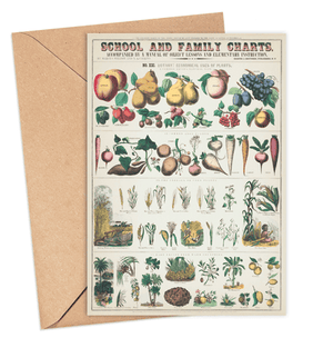 Vegetables Chart Card