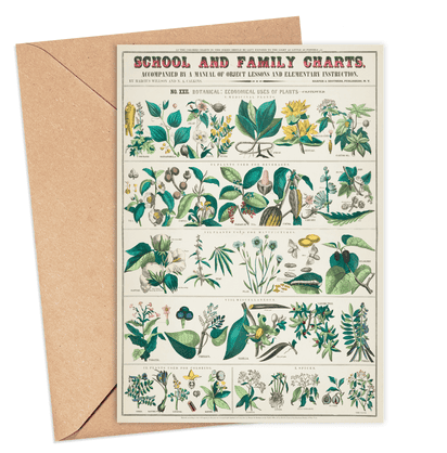 Plants Card