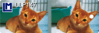 Lenticular Lenticular Animation Bookmark, Cat
