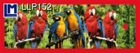 Lenticular Lenticular Animation Bookmark, Parrots
