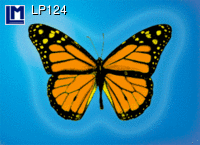 Lenticular Lenticular Animation Postcard, Butterfly Blue
