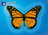 Lenticular Lenticular Animation Postcard, Butterfly Blue
