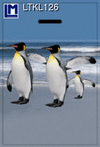 Lenticular Lenticular Animation Luggage Tag, Penguins