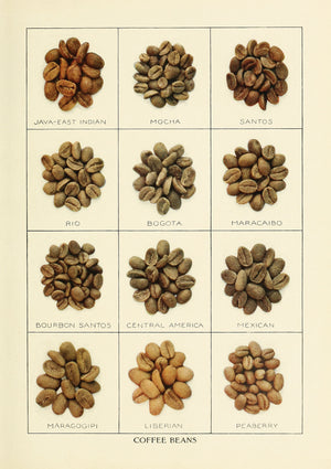 Coffee Beans Card