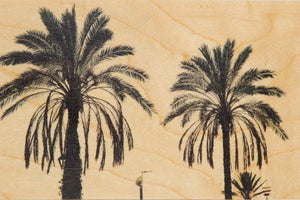 Woodhi Palm